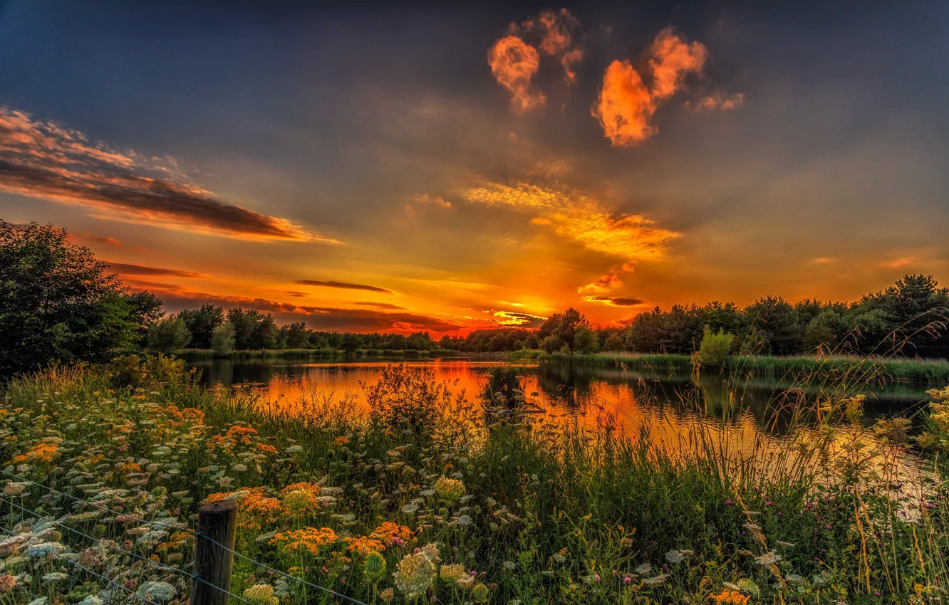 Wallpaper landscape, sunset, nature, beauty, meadow for mobile and ...