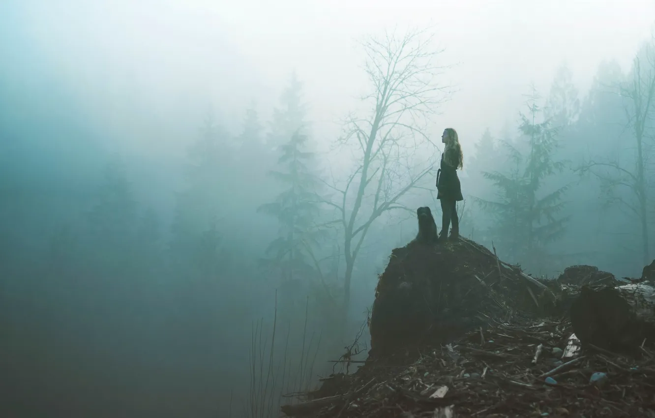 Photo wallpaper forest, girl, fog, dog