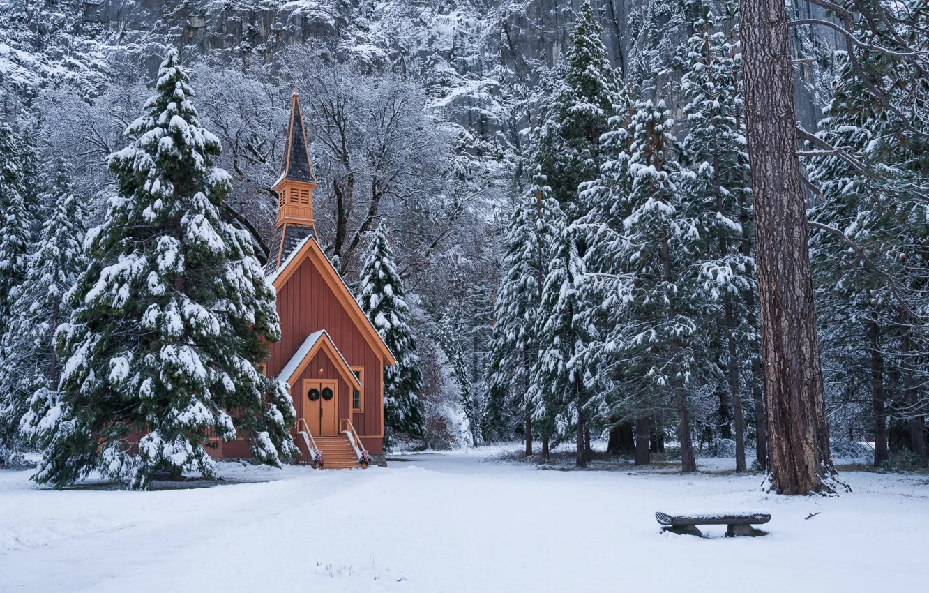 Photo wallpaper winter, forest, snow, trees, ate, CA, Yosemite, chapel