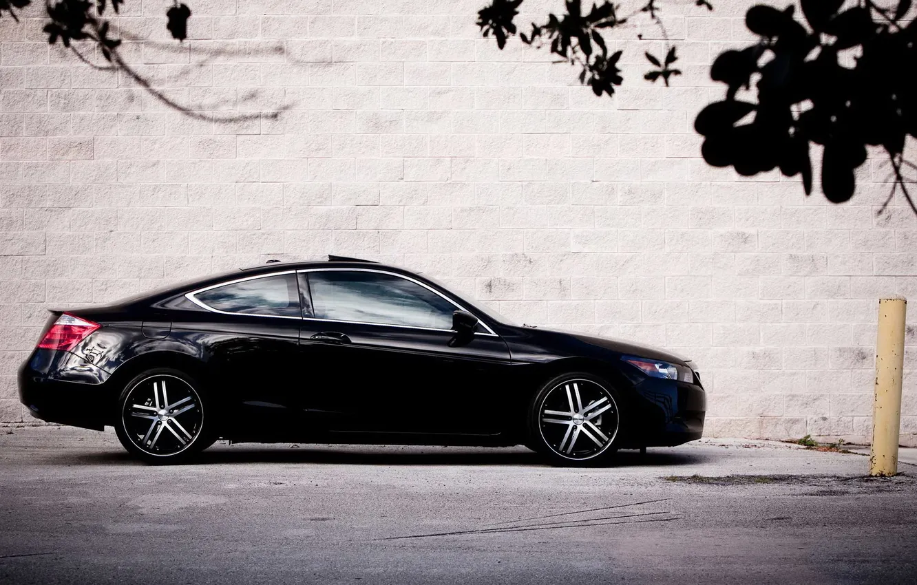 Photo wallpaper black, tuning, USA, Honda, Accord, chord
