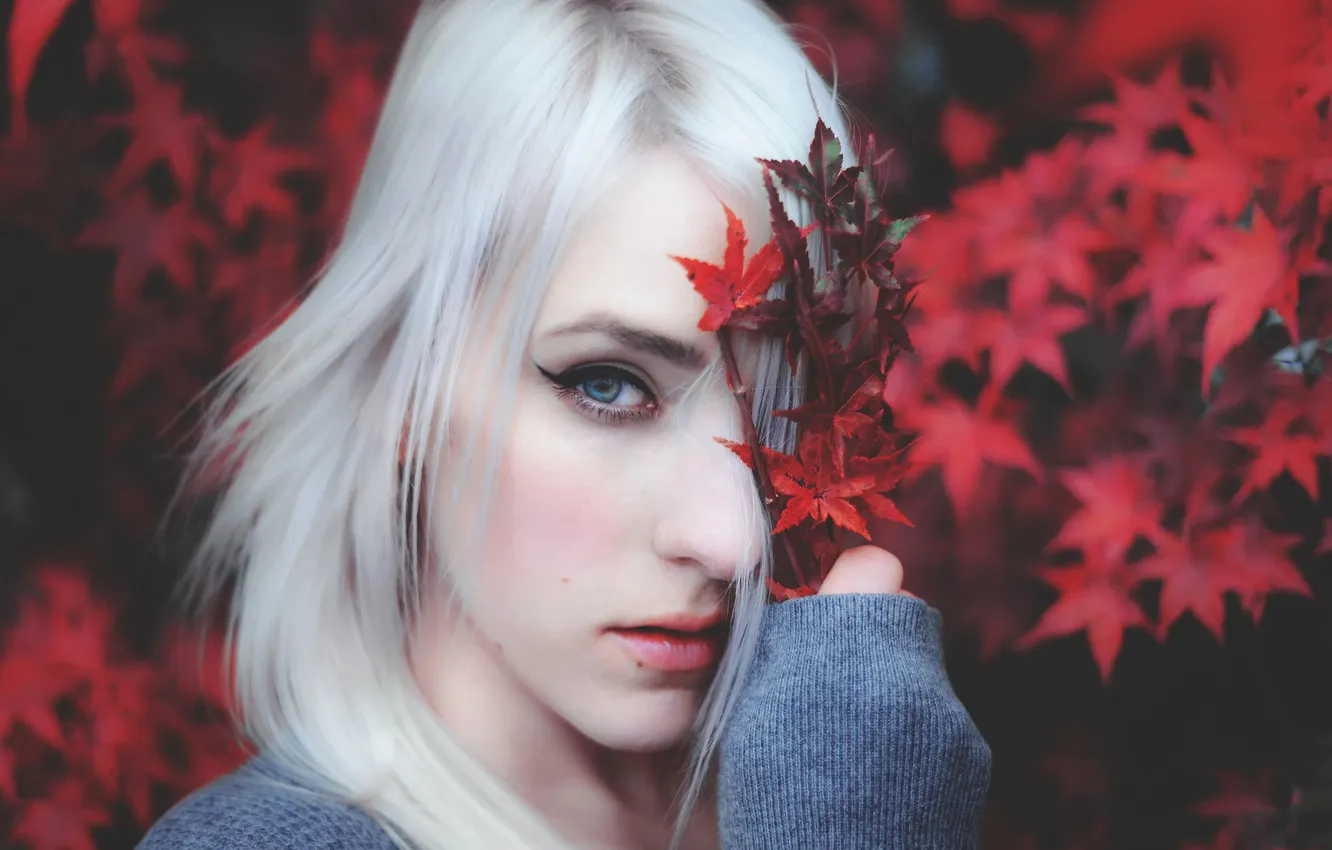 Photo wallpaper autumn, leaves, girl, paint, portrait