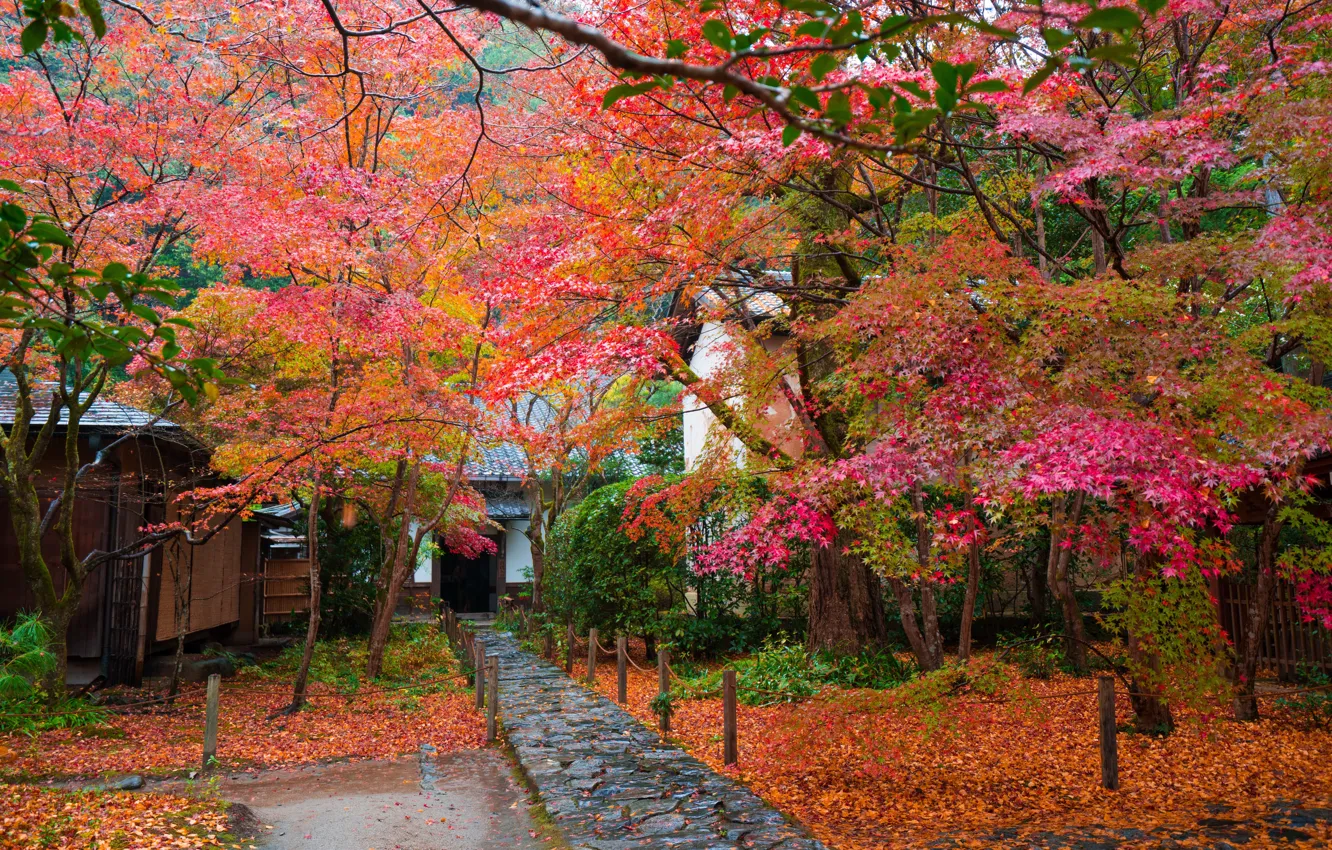 Photo wallpaper autumn, leaves, trees, house, Japan, garden, track