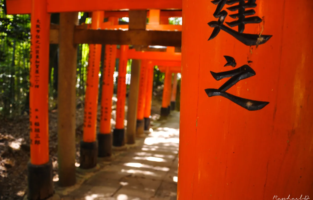 Photo wallpaper Japan, characters, Japan, torii, red gate
