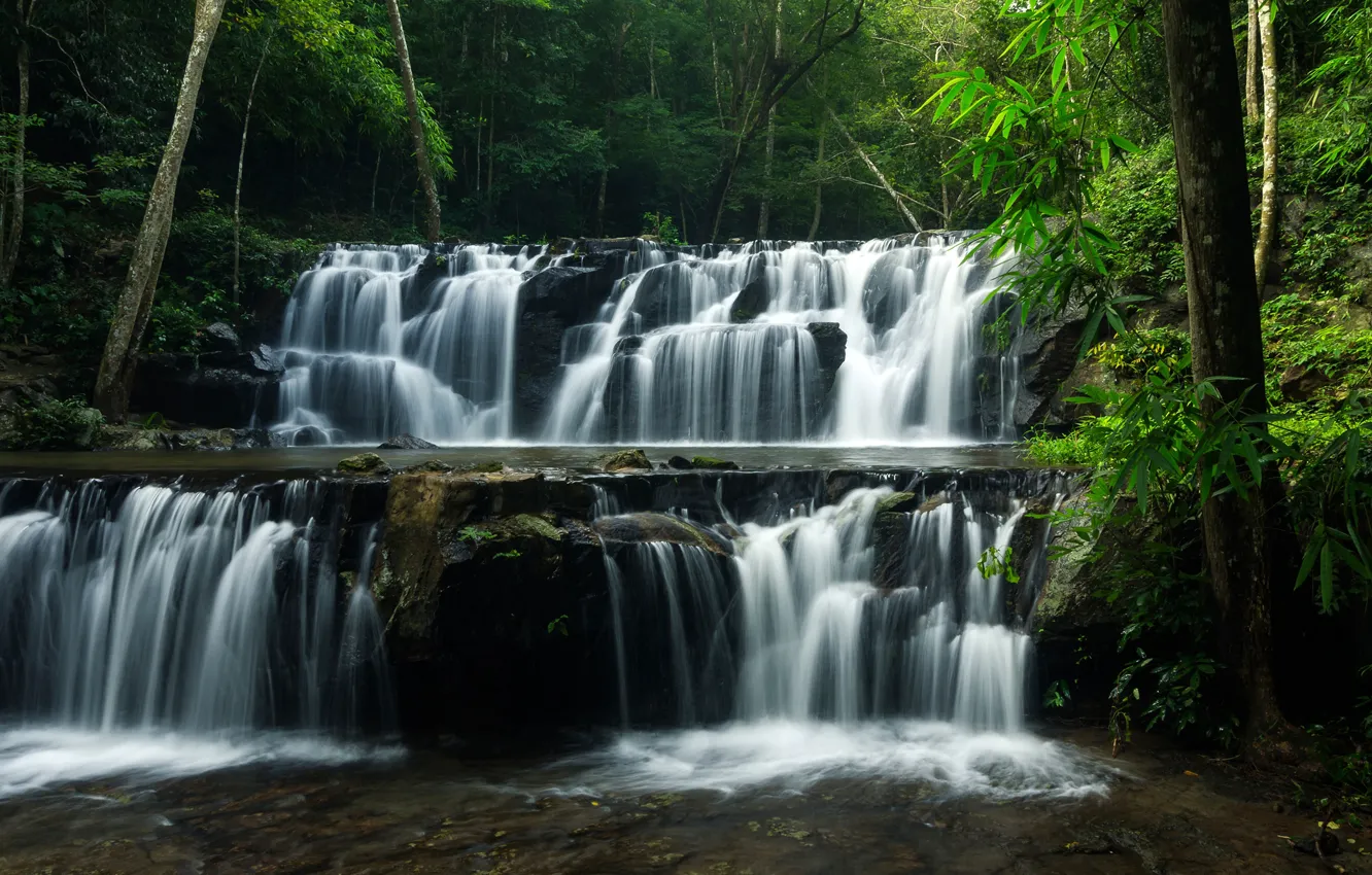 Photo wallpaper greens, forest, trees, tropics, stream, stones, waterfall, Thailand