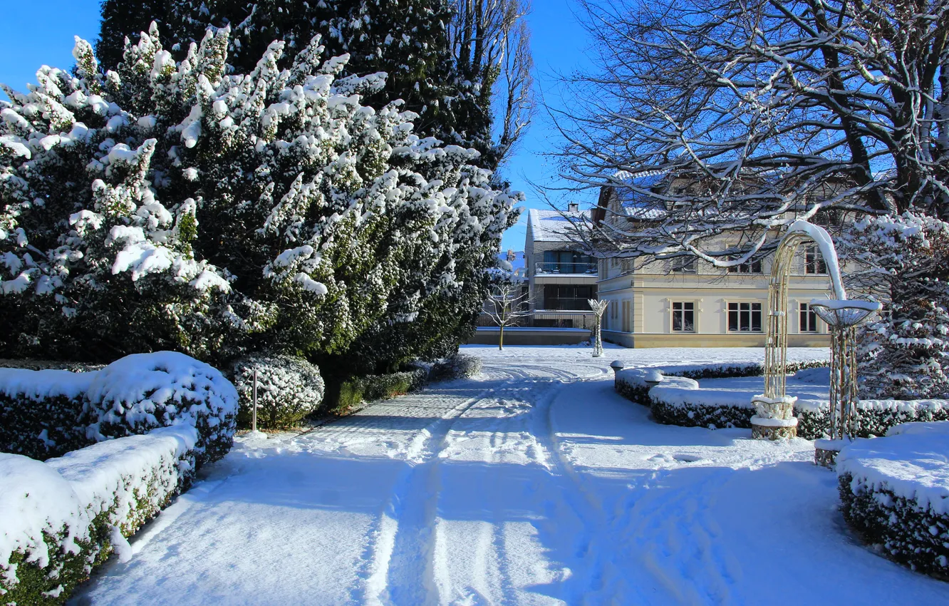 Photo wallpaper park, winter, snow