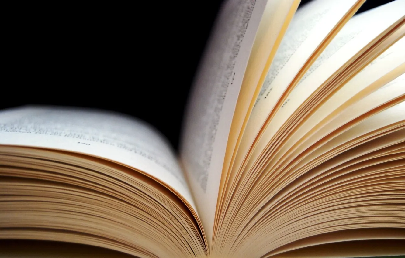 Photo wallpaper macro, text, book, page