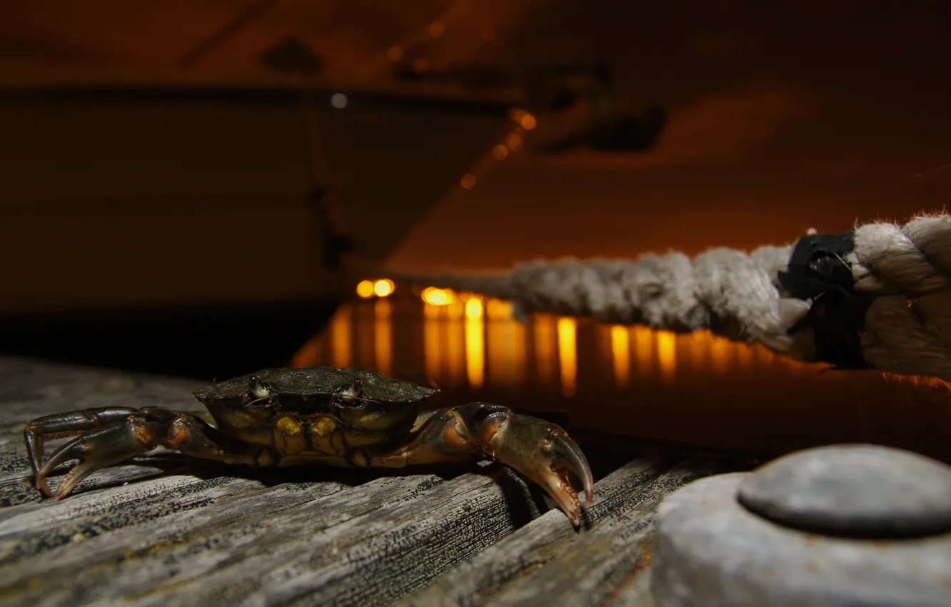 Photo wallpaper night, boat, crab, pier