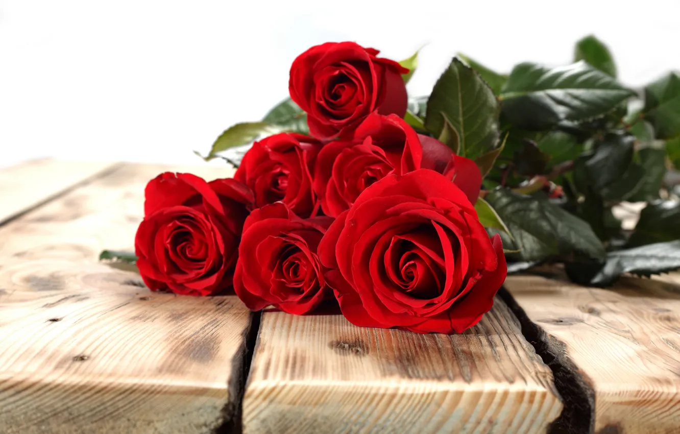 Photo wallpaper Board, roses, buds