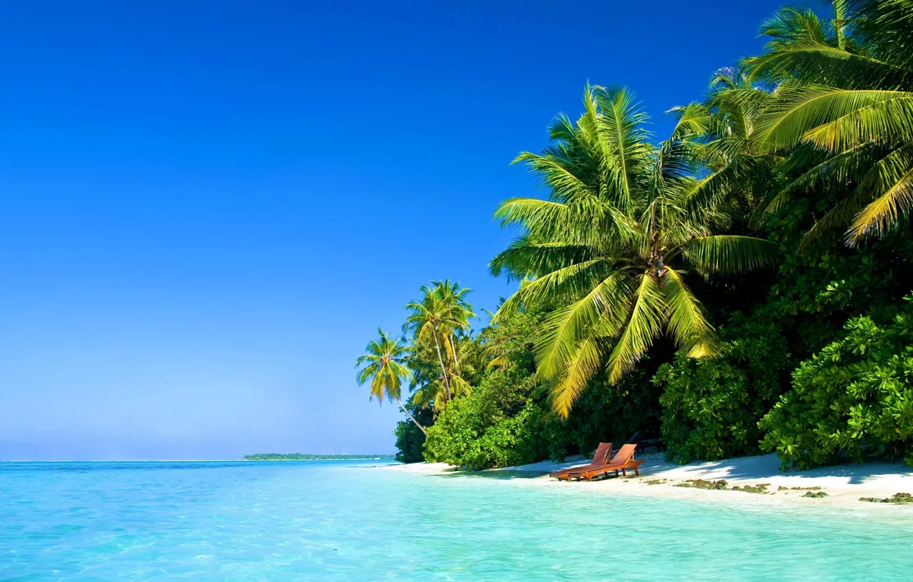Photo wallpaper sea, beach, palm trees, the ocean, shore, Paradise