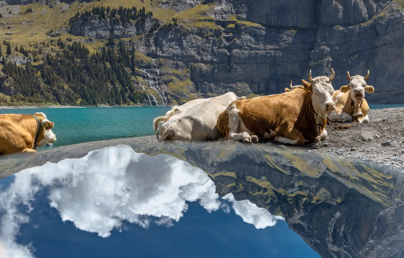 Photo wallpaper forest, the sky, clouds, light, mountains, nature, lake, reflection