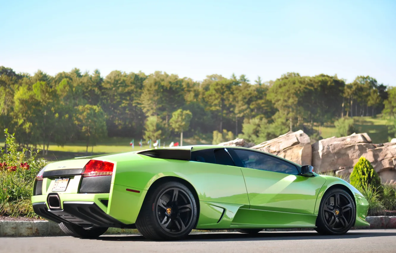 Photo wallpaper the sky, trees, green, reflection, green, lamborghini, rear view, murcielago