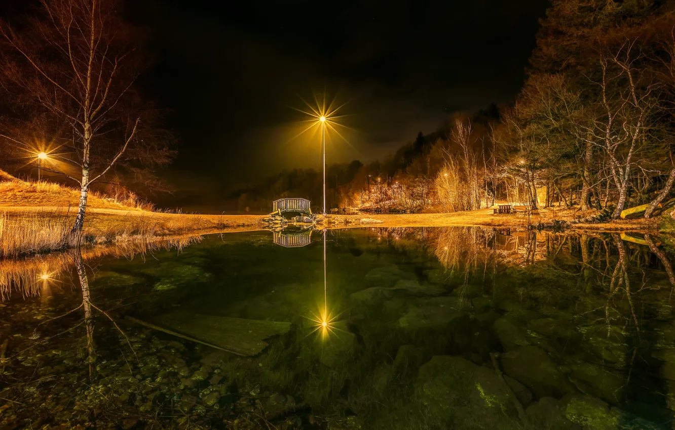 Photo wallpaper trees, night, lights, pond, Park, stones, the bottom, shop