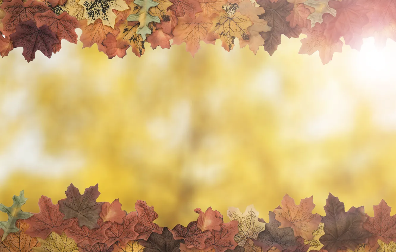 Photo wallpaper autumn, leaves, background, tree, colorful, wood, background, autumn