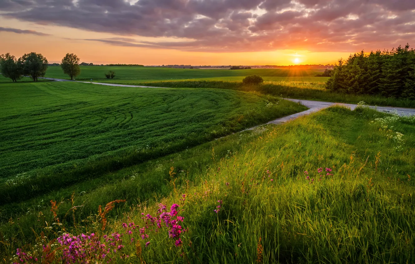 Photo wallpaper road, field, summer, landscape, sunset