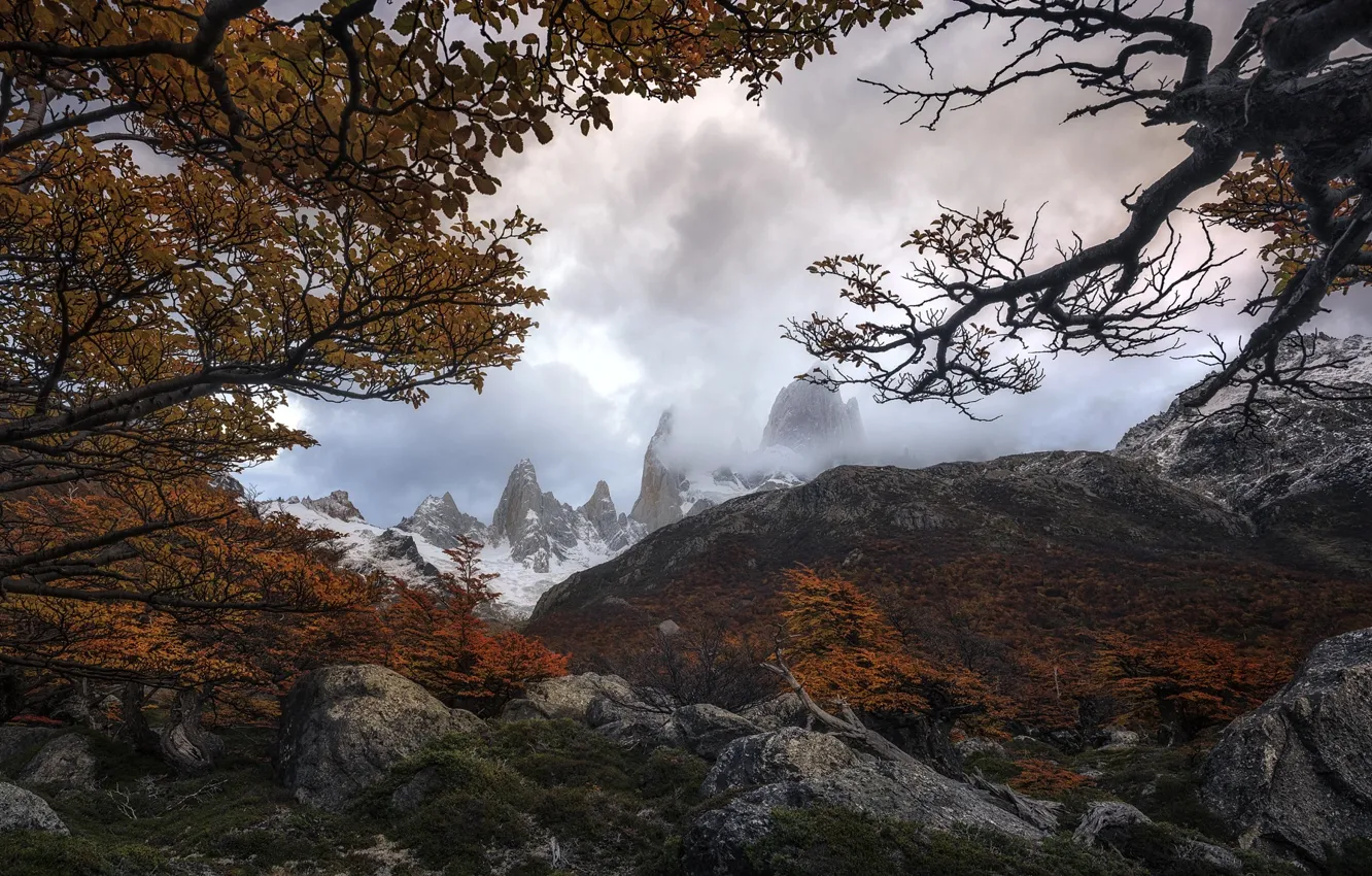 Photo wallpaper trees, mountains, branches, nature, stones, Autumn, South America