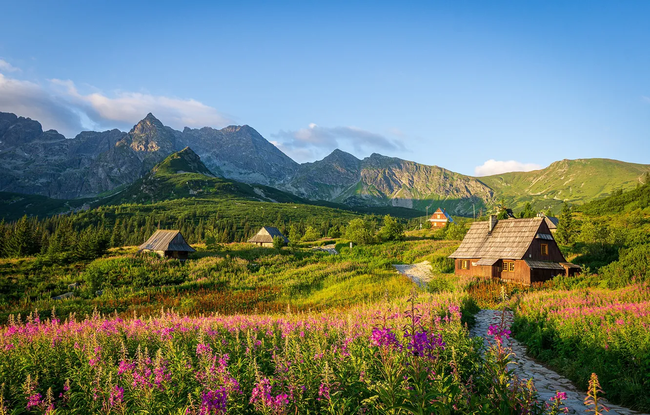 Photo wallpaper landscape, mountains, nature, track, houses, grass, Tatras