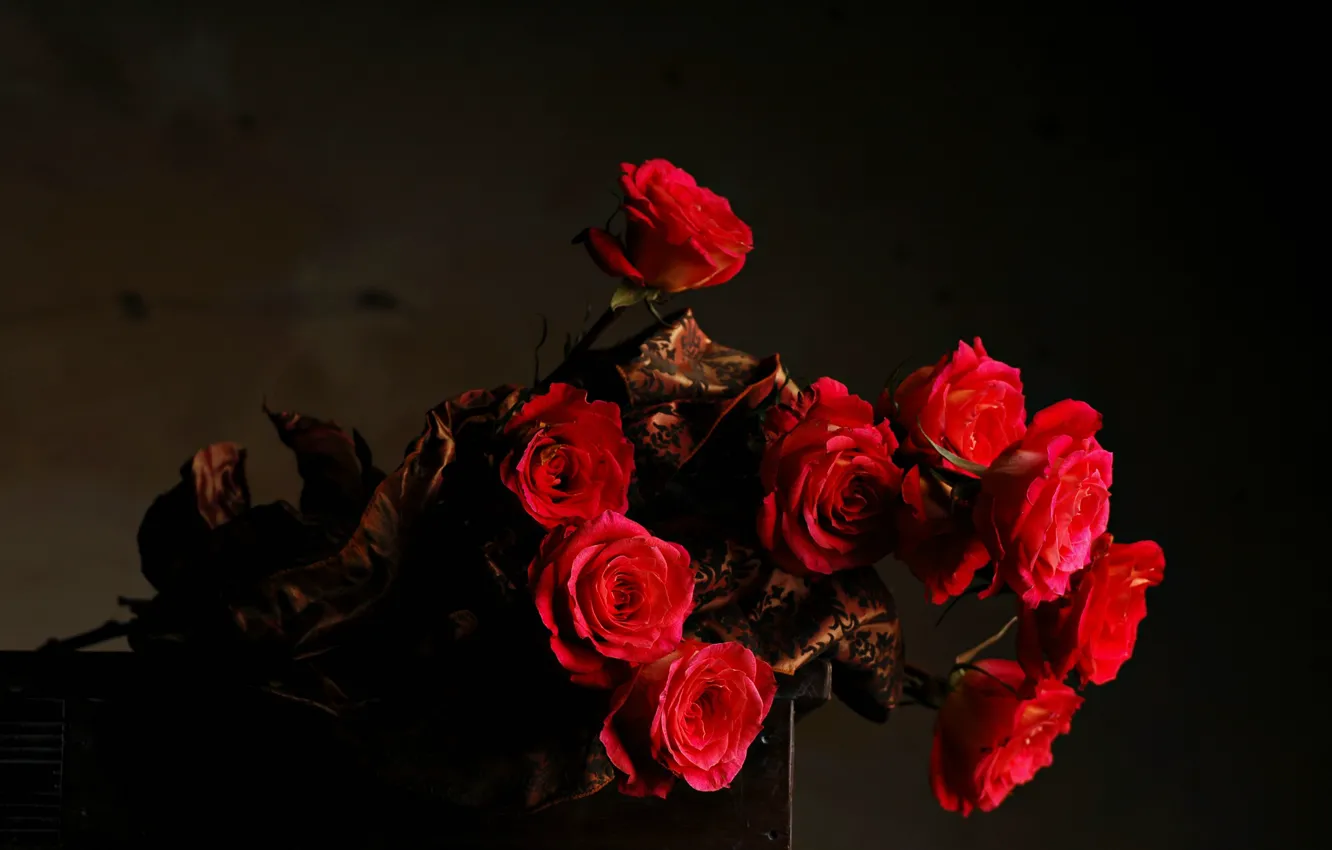 Photo wallpaper flowers, the dark background, bouquet, Roses