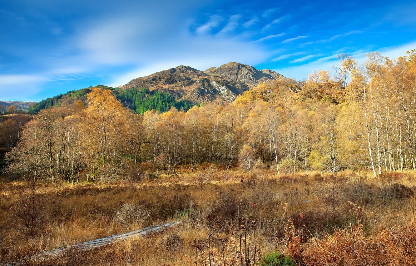 Photo wallpaper landscape, mountains, nature