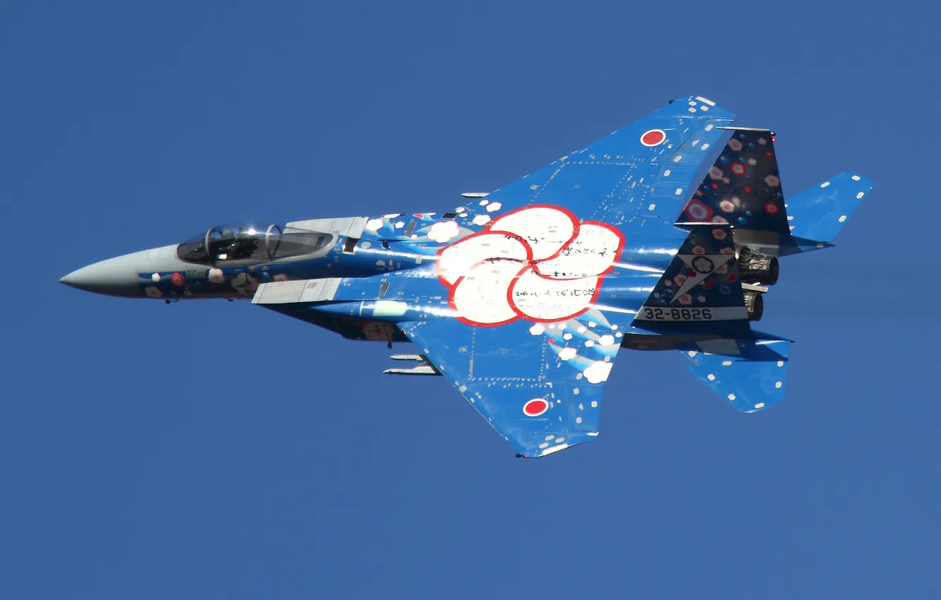 Photo wallpaper fighter, Eagle, F-15, McDonnell Douglas