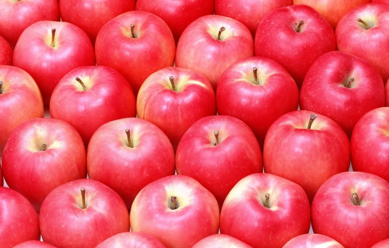Photo wallpaper apples, a lot, ripe