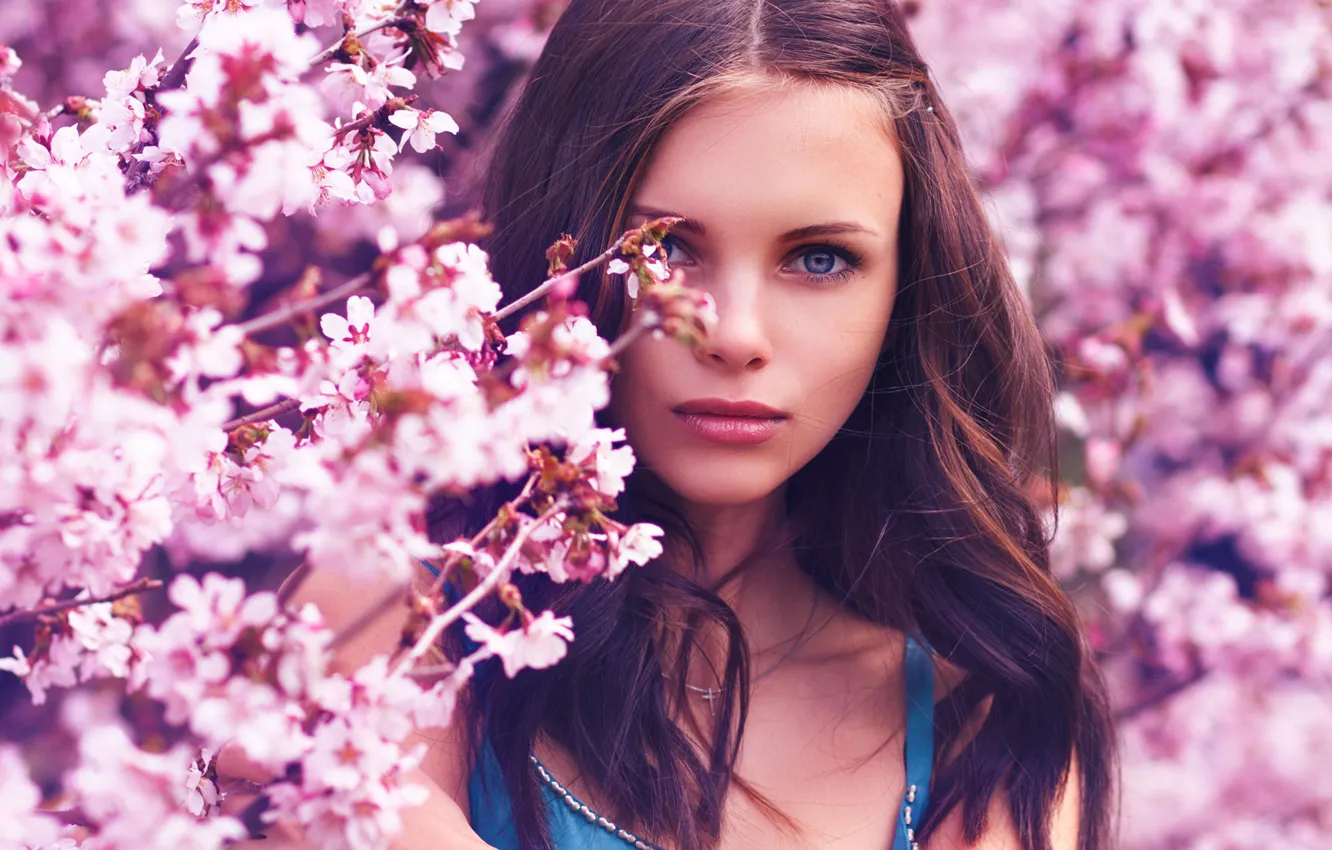 Photo wallpaper girl, flowers, nature, spring, makeup, Sakura