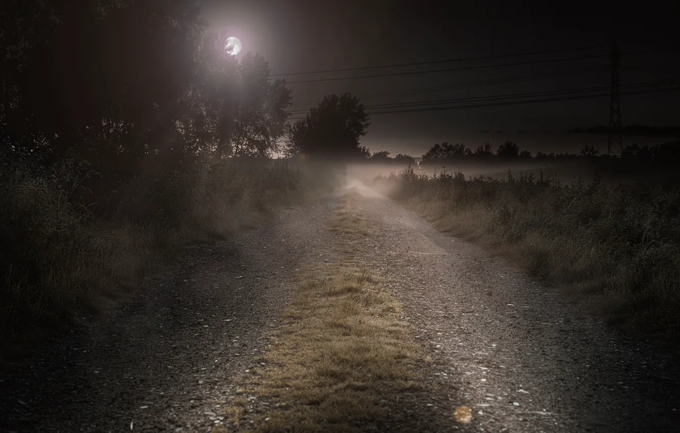 Photo wallpaper road, night, the moon