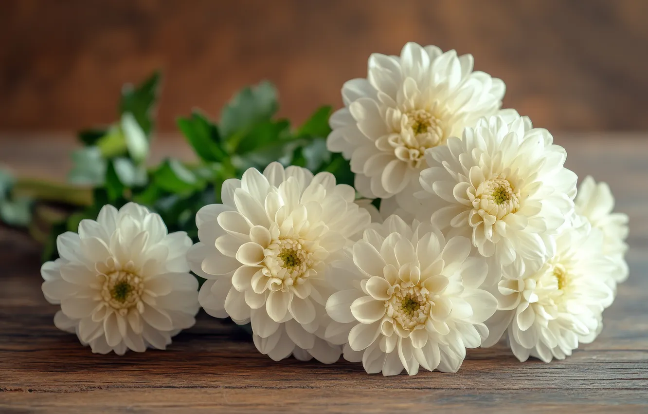 Photo wallpaper flowers, Board, bouquet, white, dahlias, AI art, neural network
