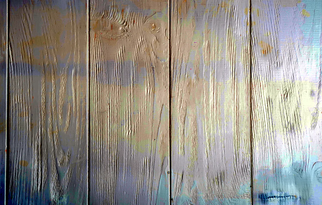 Photo wallpaper color, finish, texture, under the tree