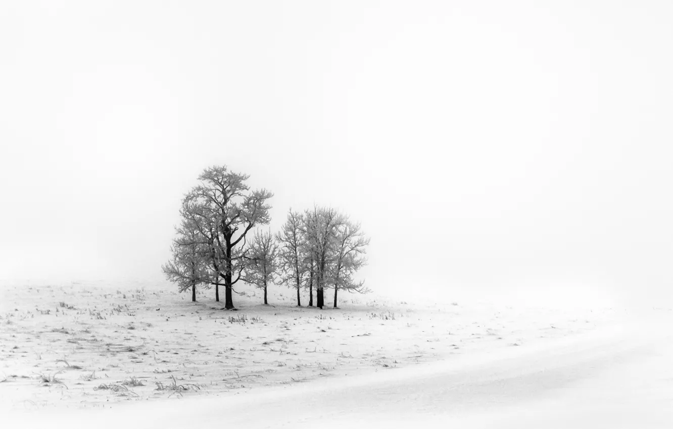 Photo wallpaper winter, field, snow