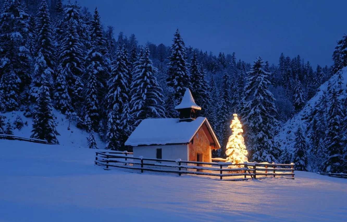 Photo wallpaper winter, forest, landscape, night, nature, chapel, Christmas tree
