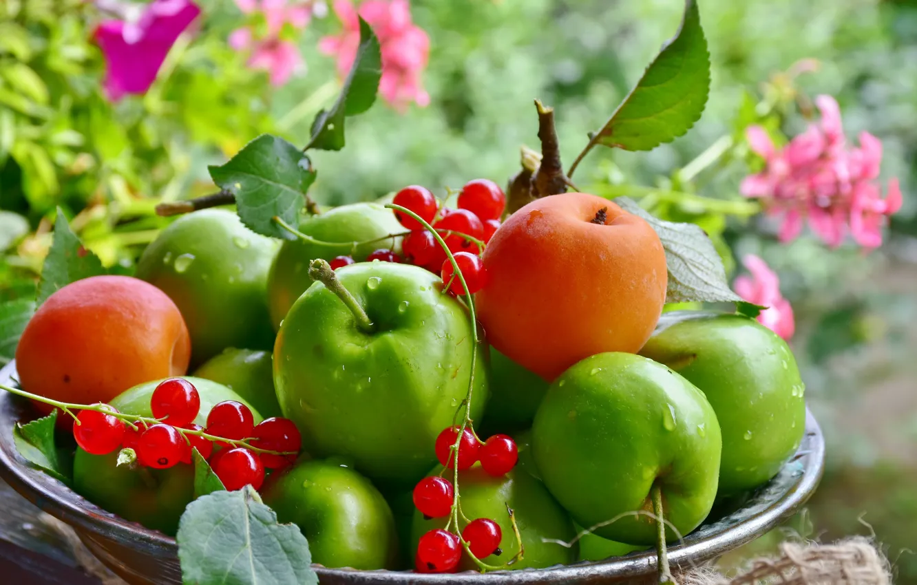 Photo wallpaper apples, plate, fruit, currants, apricots