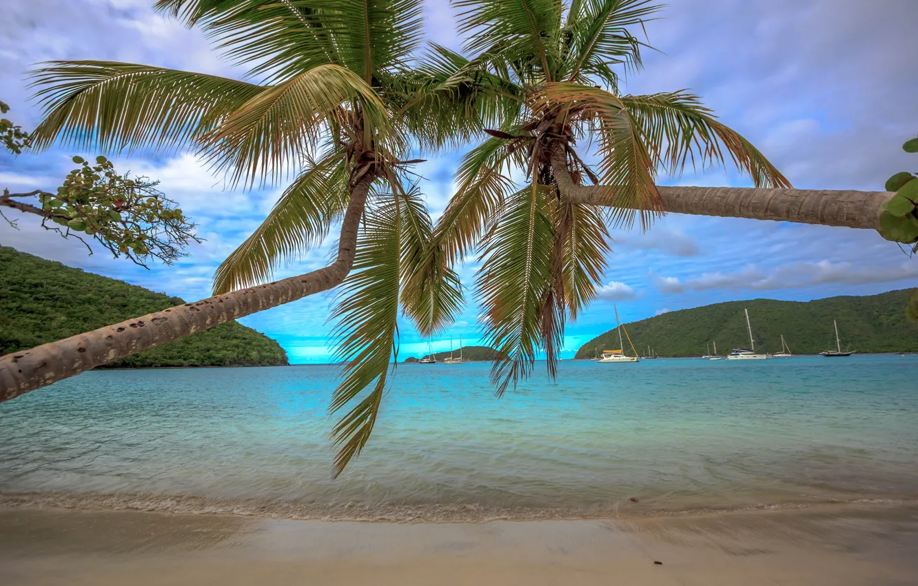 Photo wallpaper sand, sea, beach, tropics, palm trees, coast, Bay, yachts