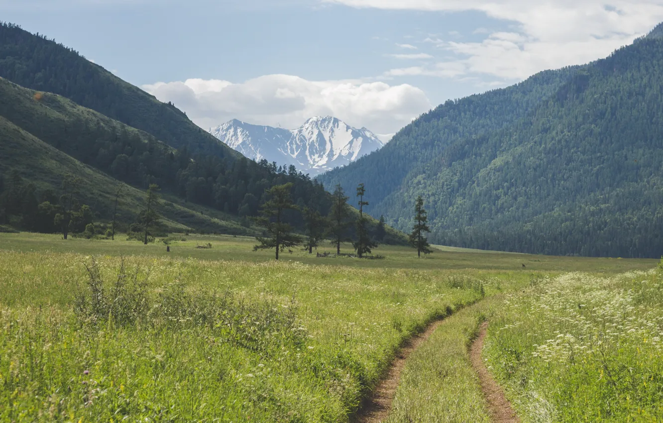 Photo wallpaper wood, Yura Lytkin, field, sky, trees, clouds, mountain