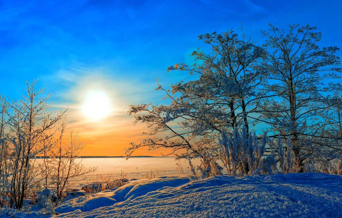 Photo wallpaper winter, the sky, the sun, clouds, snow, trees