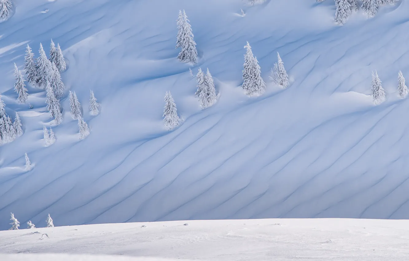 Photo wallpaper winter, forest, snow, hills, in the snow, ate, slope, the snow