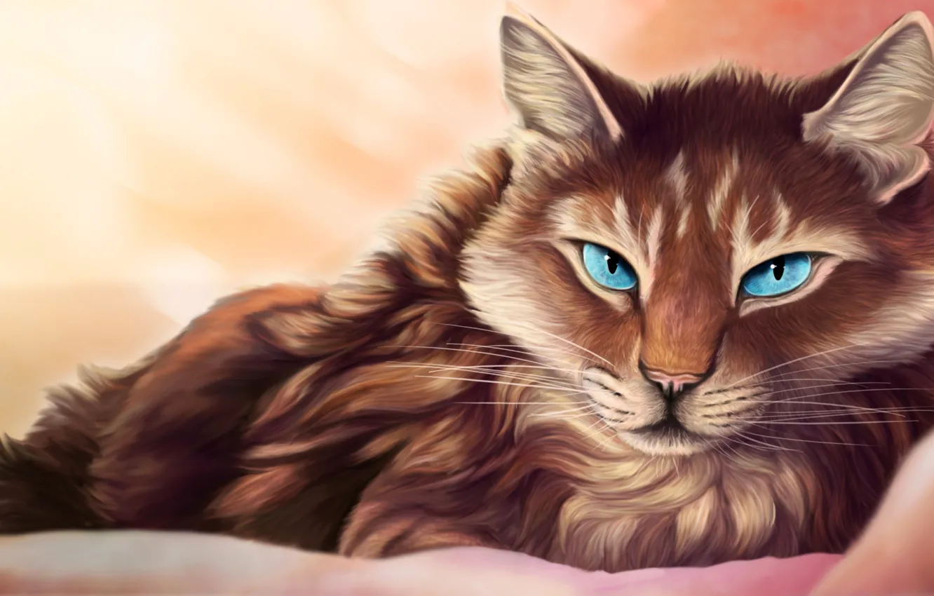 Photo wallpaper cat, eyes, look, blue, lies, blanket, art