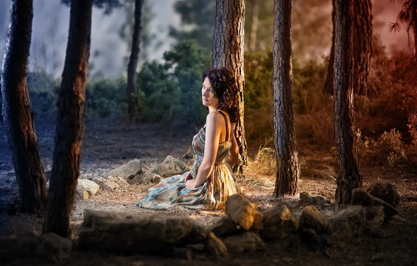 Photo wallpaper forest, girl, light