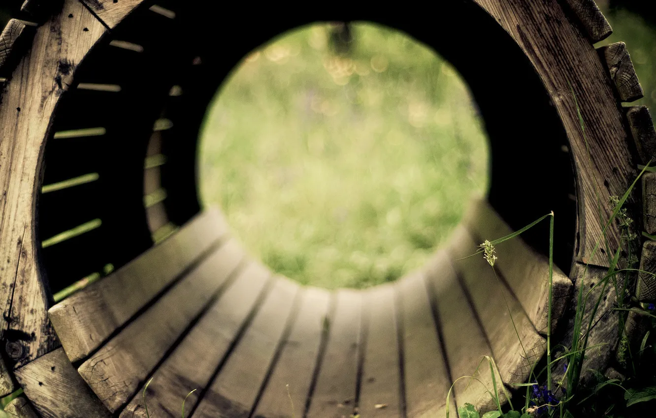 Photo wallpaper grass, macro, trees, nature, mood, Board, barrel