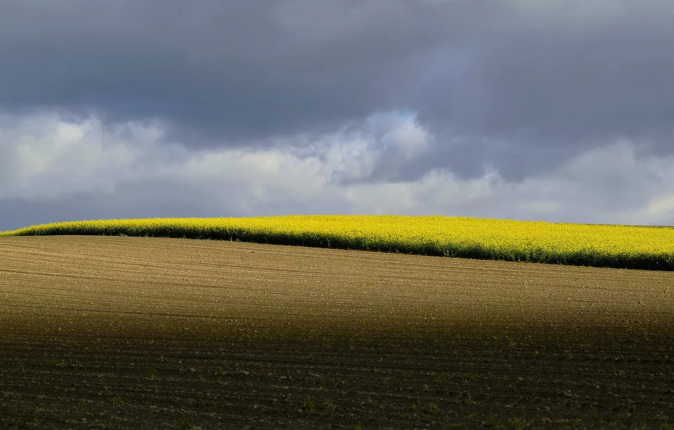Photo wallpaper field, light, landscape, nature, beauty, rape, arable land