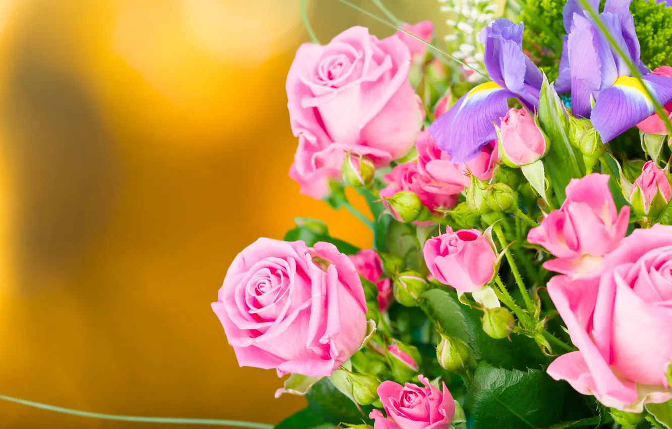 Photo wallpaper background, roses, bouquet, buds, iris