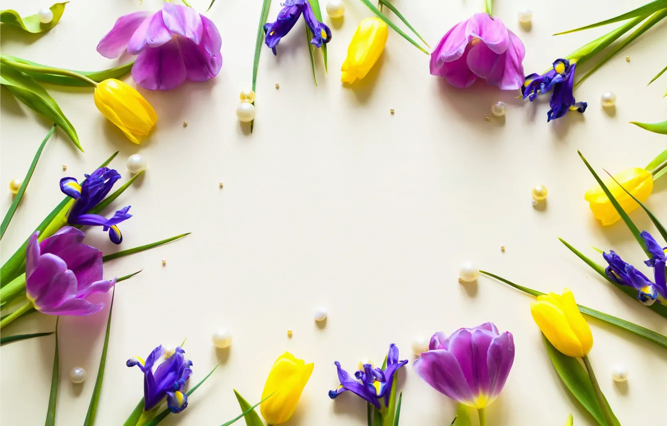 Photo wallpaper flowers, yellow, purple, tulips, fresh, yellow, flowers, beautiful