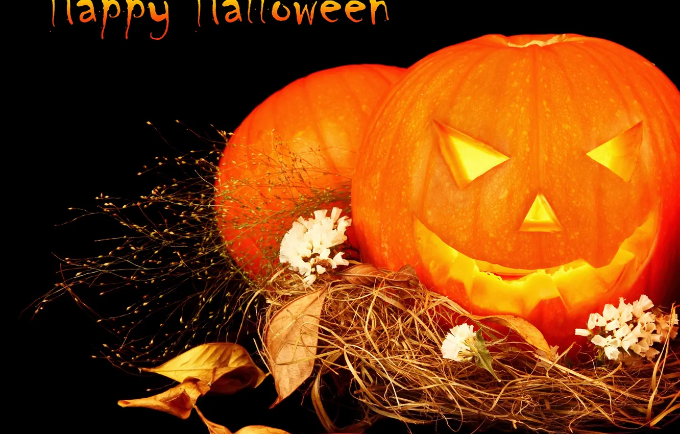 Photo wallpaper autumn, holiday, Halloween, pumpkin, Halloween, pumpkin