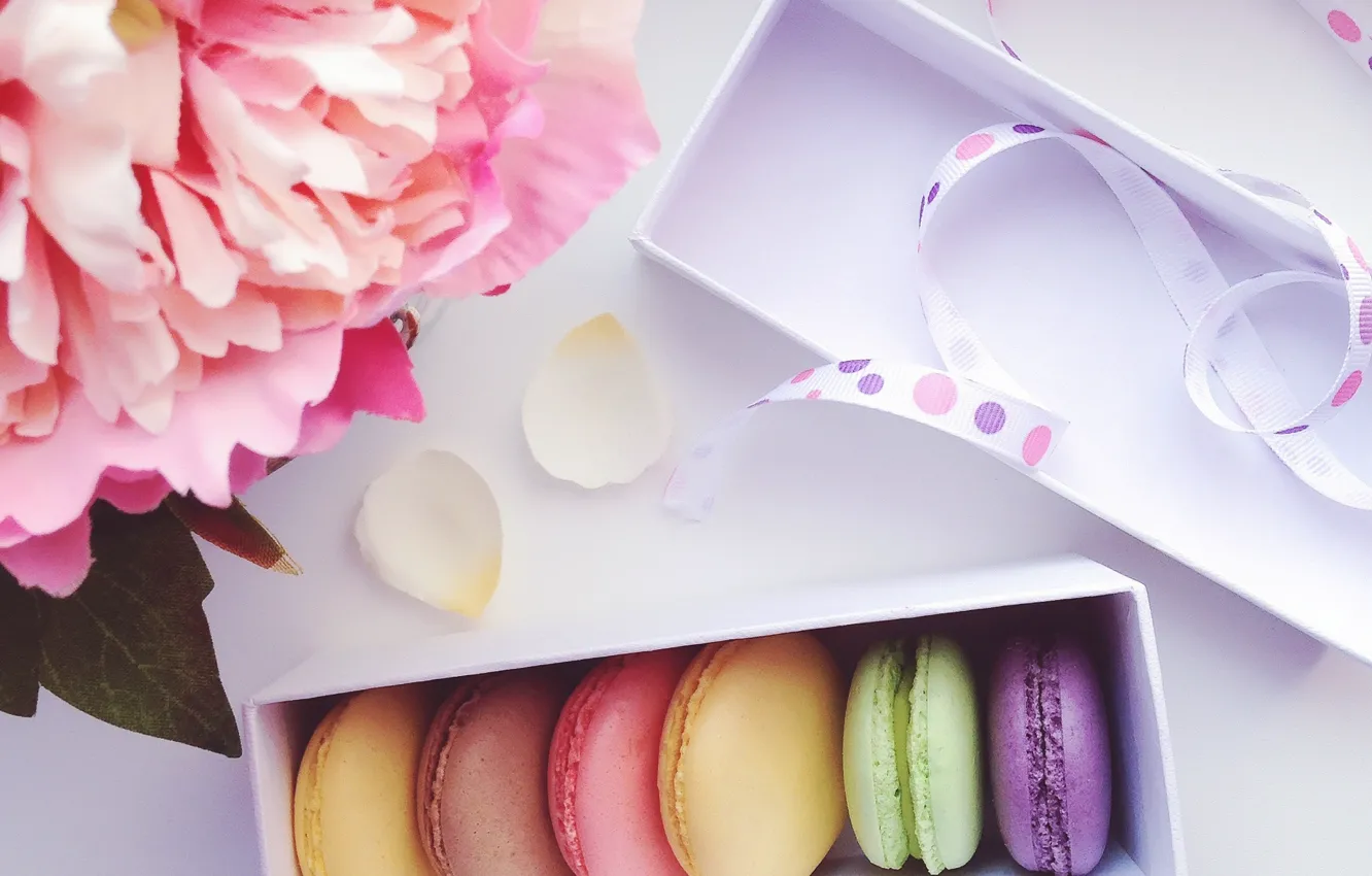 Photo wallpaper flowers, box, tape, sweet, macaron