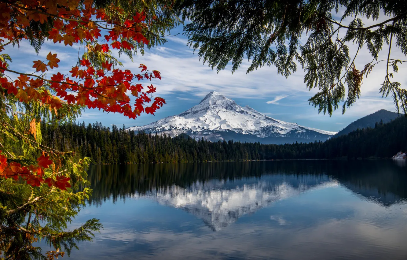 Photo wallpaper autumn, forest, mountains, branches, lake, reflection, Oregon, Oregon