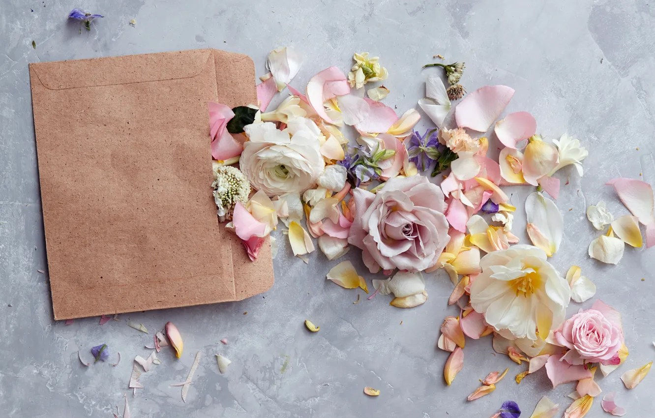 Photo wallpaper flowers, paper, flowers, backgrounds, the envelope, card