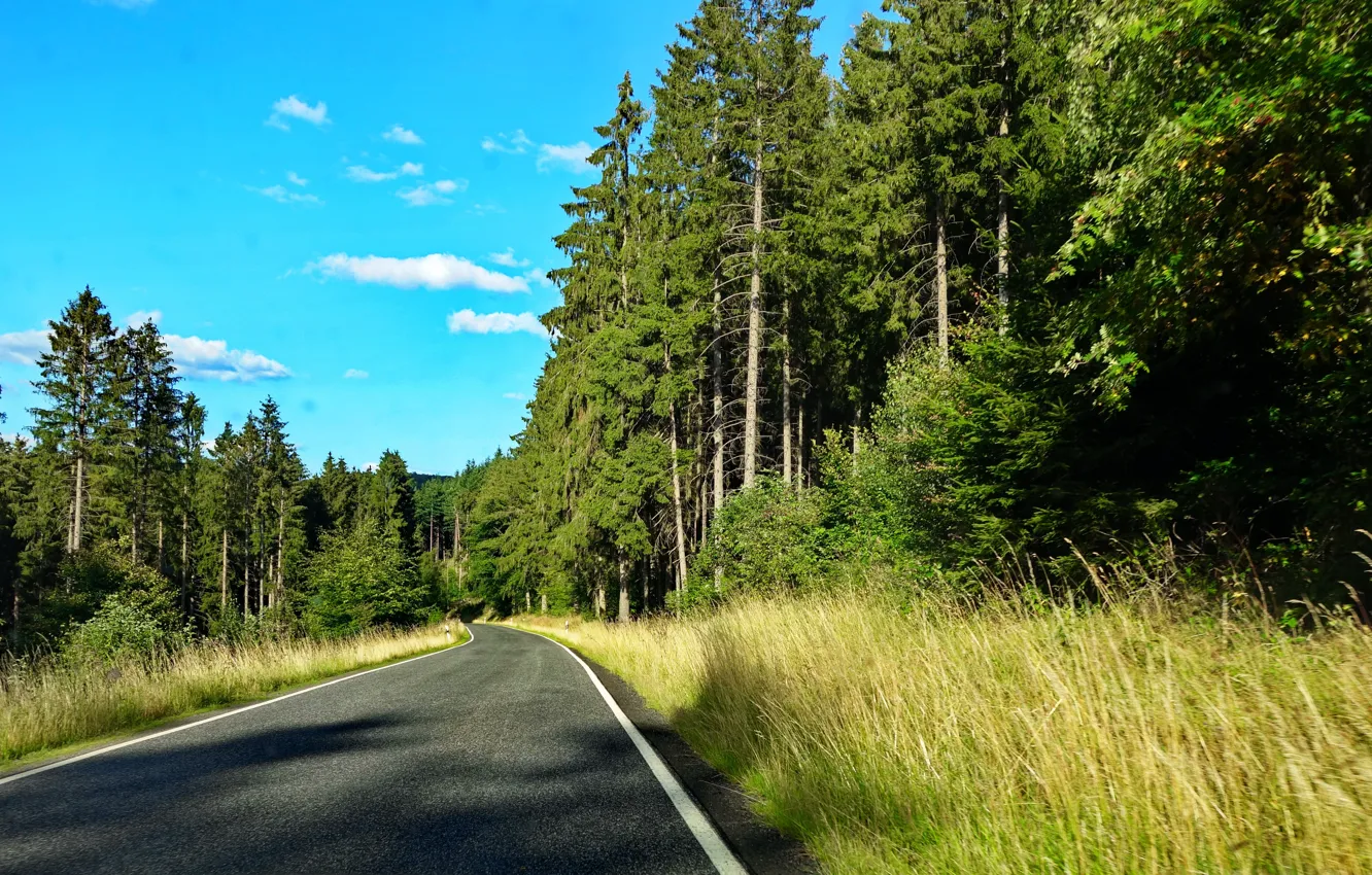 Photo wallpaper Germany, WALD, Eifel