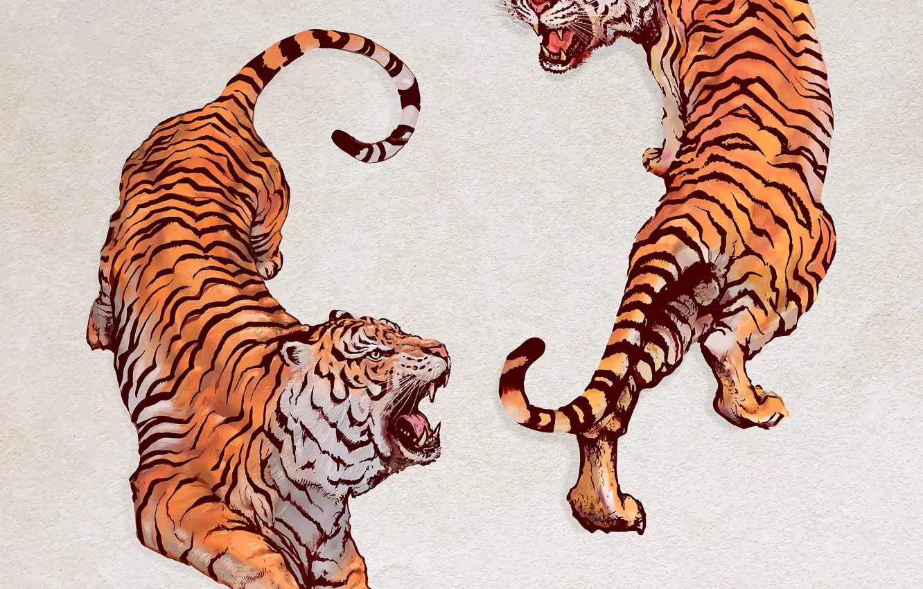 Photo wallpaper Two, Art, Yin-Yang, Wild cats, Tigers, Grin, Predators, Big Cats