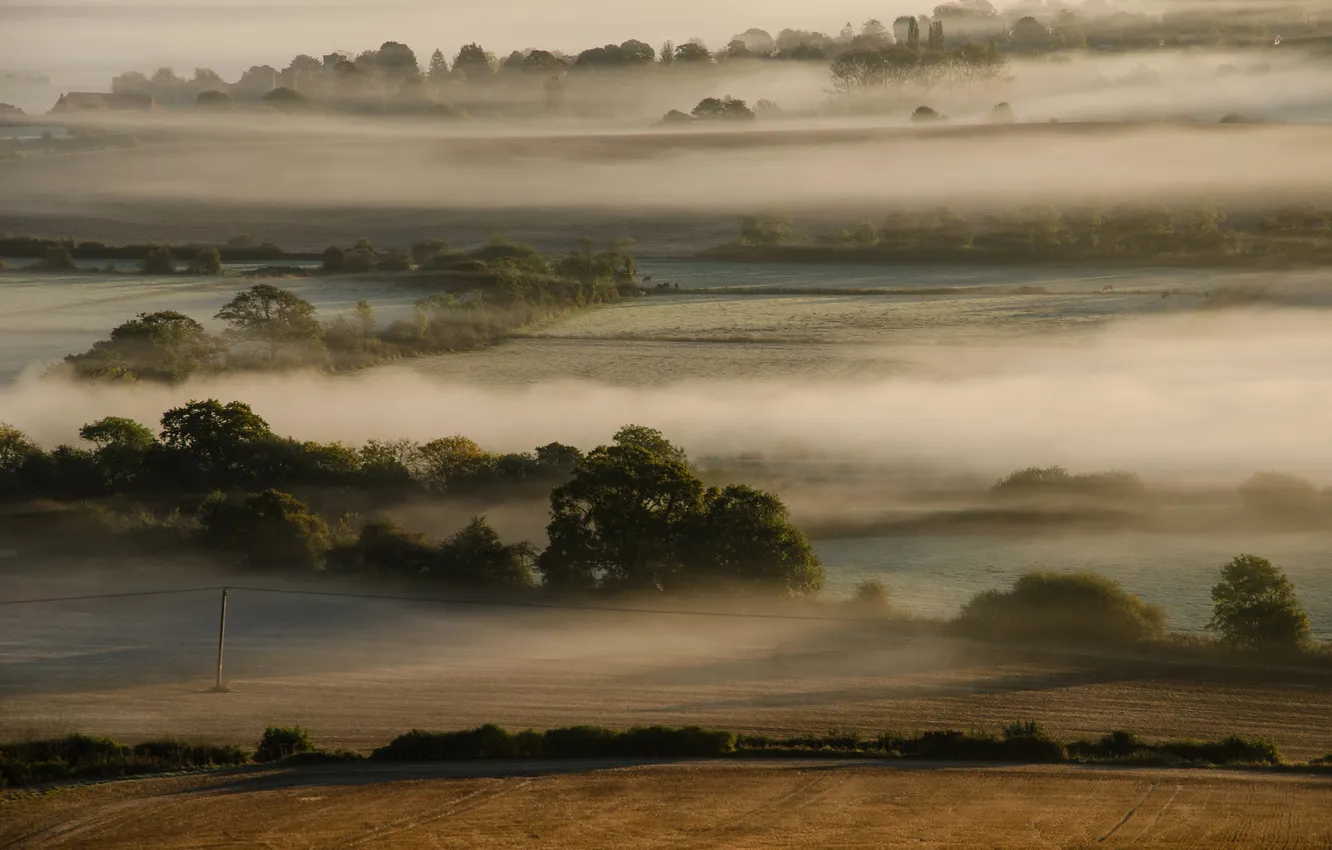 Photo wallpaper field, trees, fog, hills, morning