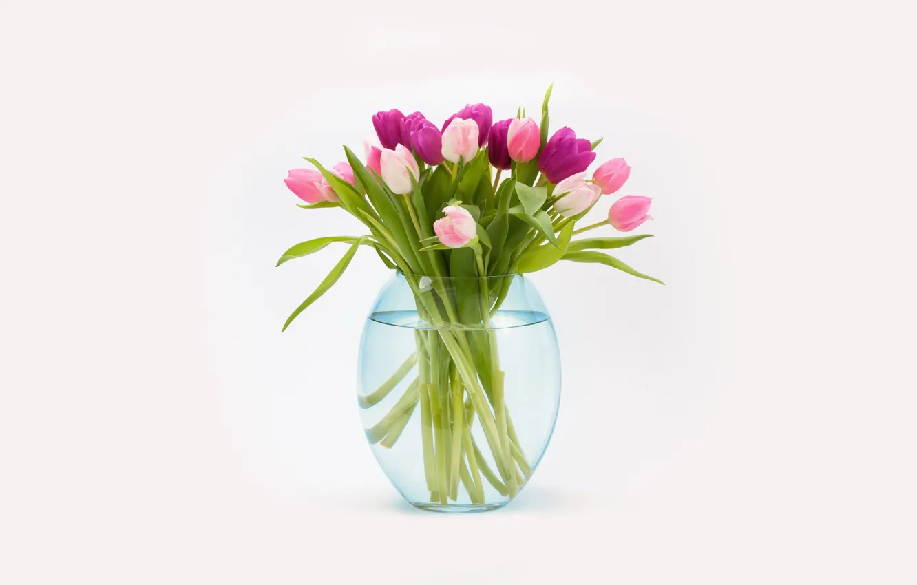 Photo wallpaper bouquet, tulips, vase