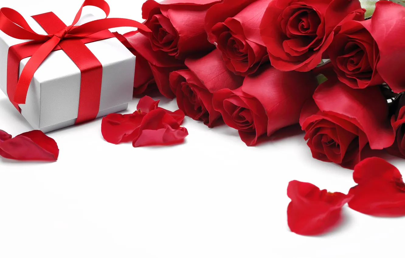 Photo wallpaper flowers, roses, valentine's day, red roses